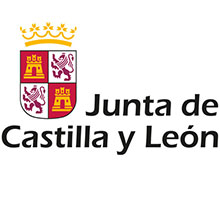 Junta de Castilla y León