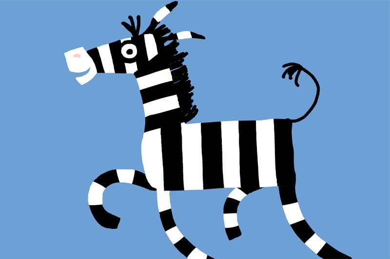 Zebra