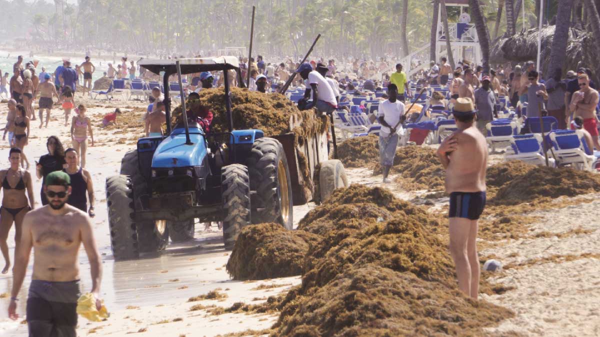 Playeros: travailleurs des plages