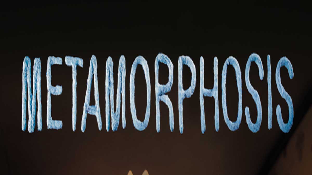 Metamorphosis