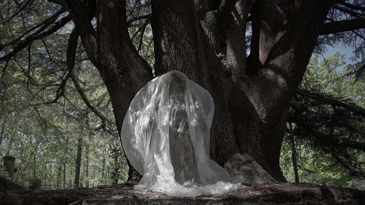 Los hombres de musgo