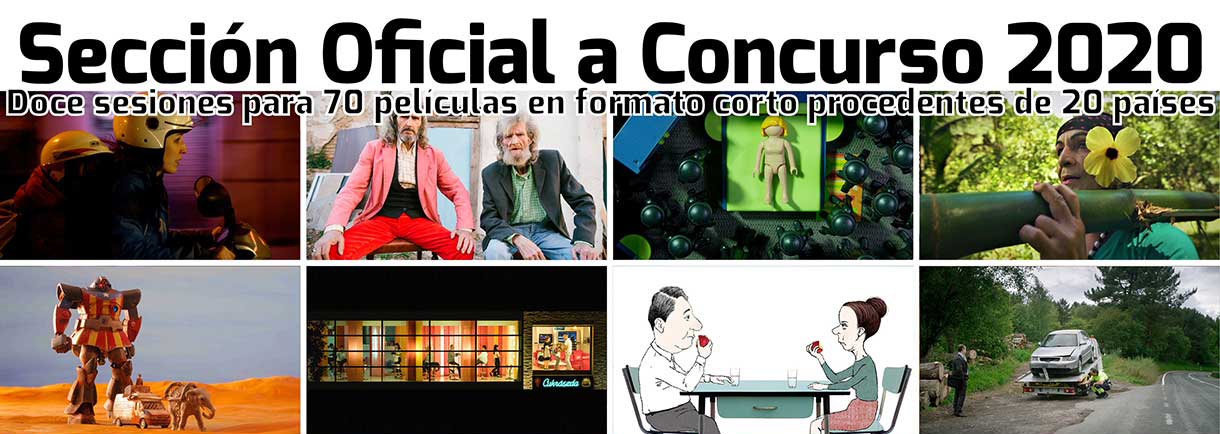 Sección Oficial