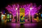 Galerías Festival 2024